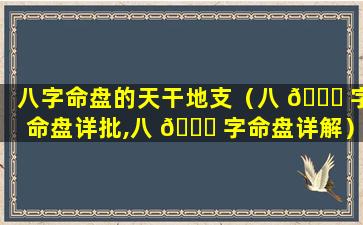 八字命盘的天干地支（八 🍁 字命盘详批,八 🍀 字命盘详解）